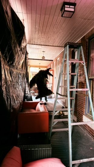 Setup: black tarp walls, witch, ladder